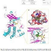共价对接 RNA 批量虚拟筛选 分子对接 蛋白与蛋白 DNA 蛋白 柔性