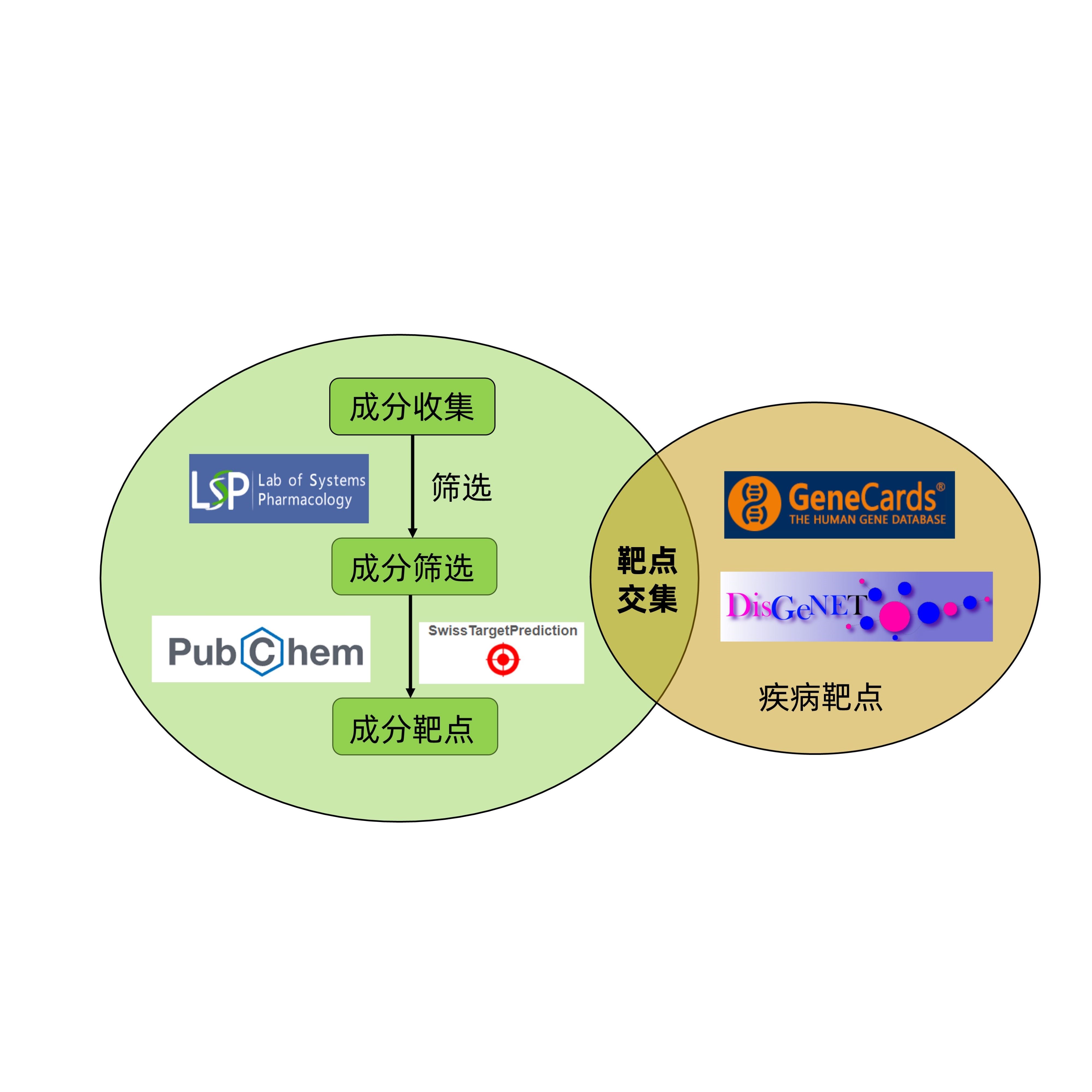 网路药理学 PPI网路 靶点挖掘 分子对接 GO富集 KEGG富集