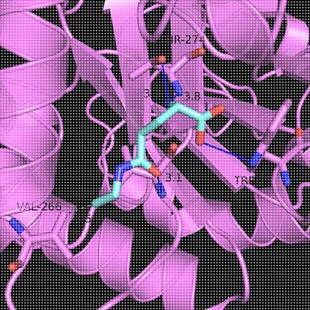 分子对接/结合能/服务顾客超500位/虚拟筛选/分子动力学模拟