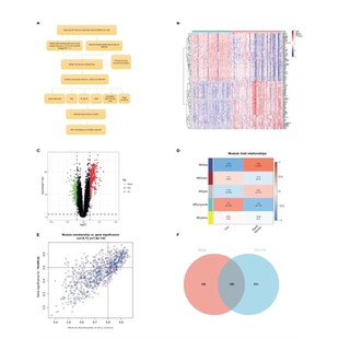 扩增子16s/18S/ITS宏基因组测序数据分析微生物多样性测序基因组
