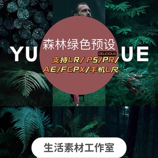 PR调色滤镜LUT LR预设森系旅拍绿色调LR手机达芬奇FCPX 手机版