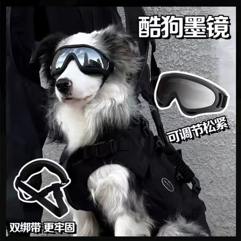 陨石边牧狗狗防风防紫外线头饰墨镜大型太阳镜宠物滑雪眼镜