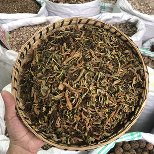 石苇 云南散装小石韦 农家自采刀口药 筛选净货无硫药材 新货色绿