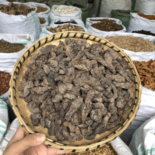 草血竭 云南散装地蜂子片 农家深山自采拳参 野外生晒无硫药材
