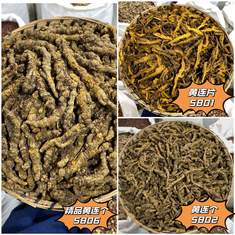 黄连 散装单枝川连片 当季新货川黄连 味连雅连药材 生晒无硫药材