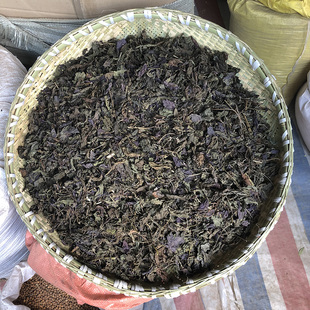 紫苏叶 香味浓郁 当季新货 云南高原紫苏叶 干净挑选 有苏梗