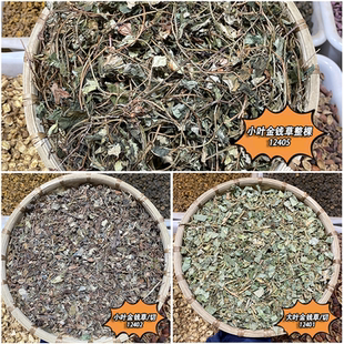 当季 新货 金钱草 散装 无硫药材泡水 色绿广大叶金钱 农家野外生晒