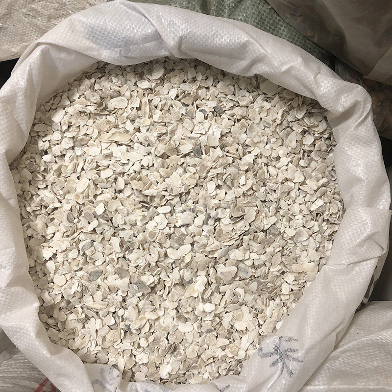 牡蛎小片易用当季新货