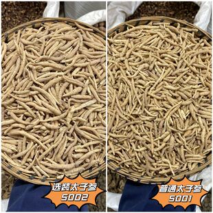 太子参 云南散装孩儿参新货 农家野外生晒 无硫草本药材 食用品质