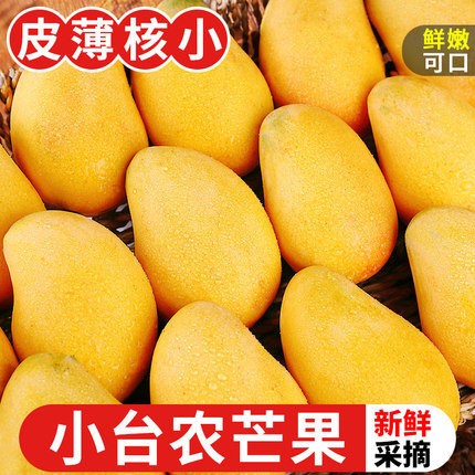 海南小台农芒果10斤装当季水果新鲜现摘热带芒果小台芒整箱包邮9