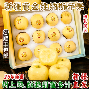 新疆黄金维纳斯苹果当季新鲜水果脆甜多汁奶油富士苹果高端礼盒装