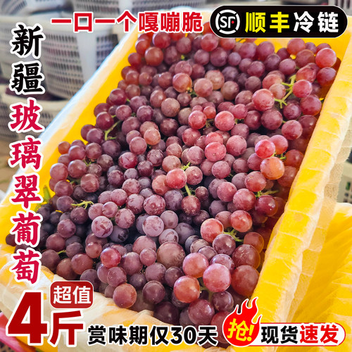 心疆农哥吐鲁番葡萄冷运包邮