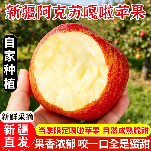新疆嘎啦苹果脆甜爽口产地直发