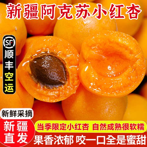 新鲜水果新疆小红杏新疆水果