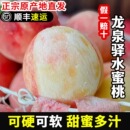 正宗四川龙泉驿水蜜桃4斤成都当季 桃子新鲜水果脆甜毛桃顺丰 包邮