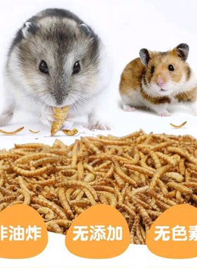 魔王金花雪地松鼠蜜袋鼯刺猬仓鼠吃的面包虫食物粮食饲料补钙零食