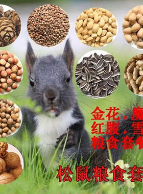 魔王雪地金花松鼠主粮食物自配粮食吃的主粮饲料坚果榛子松子用品