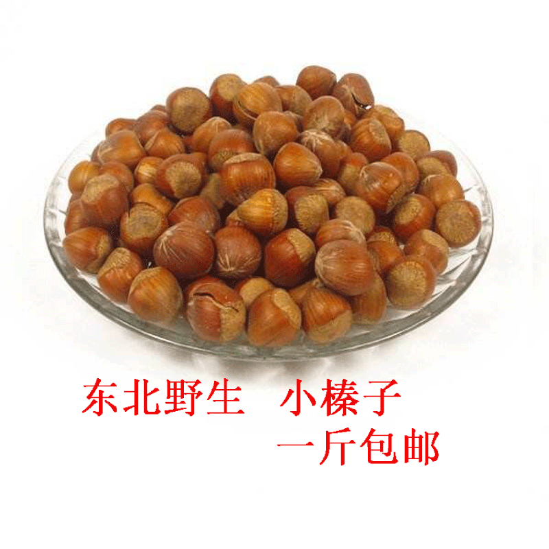 松鼠主粮粮食东北野生小榛子松鼠磨牙坚果松鼠吃的粮食生榛子