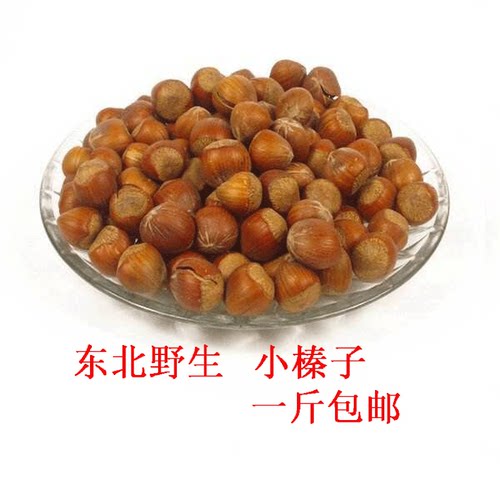 松鼠粮食小榛子磨牙零食食物