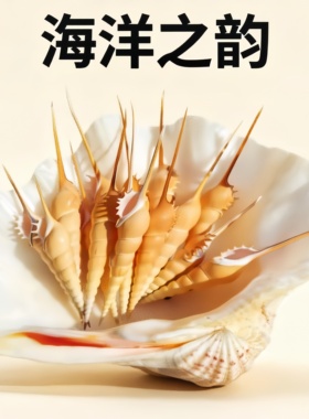 长鼻海螺收藏精品高端餐具