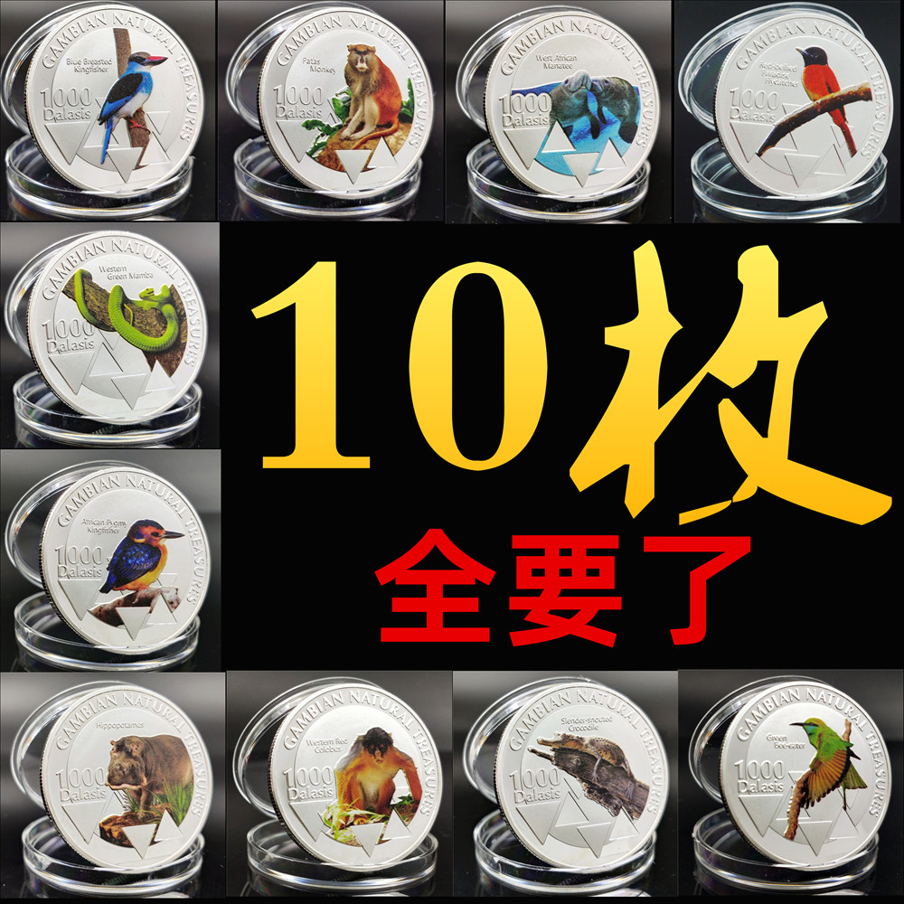 包邮非洲彩色动物爱情鸟疣猴鳄鱼创意礼品
