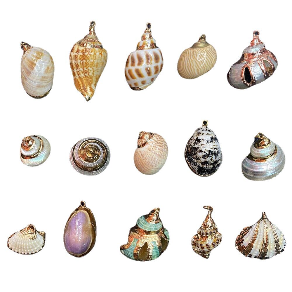 贝壳吊坠天然海螺挂件半成品装饰工艺品 手工DIY耳环饰品项链配件