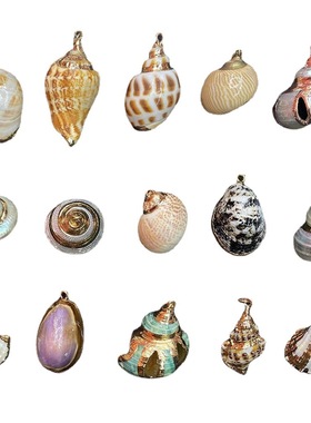 贝壳吊坠天然海螺挂件半成品装饰工艺品 手工DIY耳环饰品项链配件