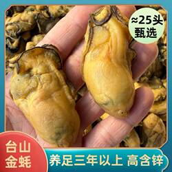 深井湾台山金蚝生晒蚝豉汶村大金蚝海蛎子牡蛎干非湛江程村蚝