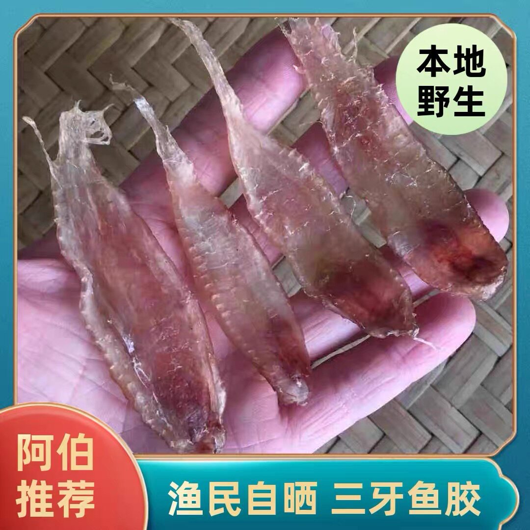 台山特产 川岛三牙鱼胶 花胶鱼肚干 渔家自晒 原色无添加
