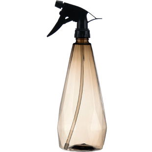 家用园艺植物小型洒水壶钻石浇花小喷壶气压式雾化水柱调节浇水壶