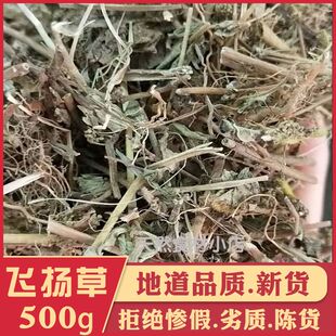 飞扬草中药材大飞杨草 野生乳籽草大飞杨节节花无硫大乳汁 飞扬草