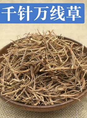 千针万线草中药材 云南特产 筋骨草 小胖药麦参无硫干品新货包邮