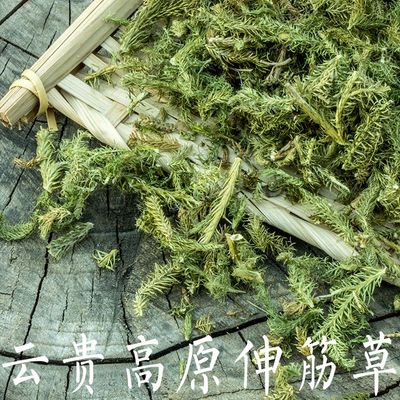道地中药材伸筋草透骨草海风藤舒筋草泡脚泡澡石松狮子尾草野生