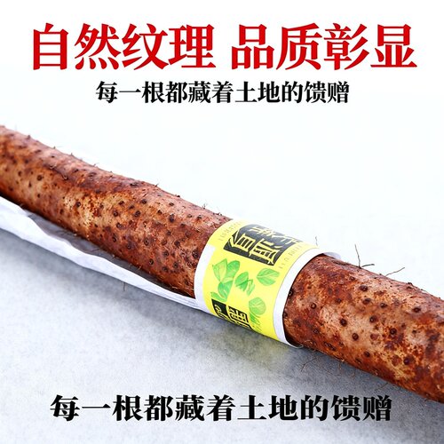 河南特产焦作温县新鲜铁棍山药