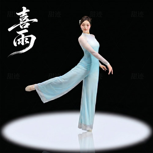 2026春晚成人喜雨同款舞蹈服女斗笠古典舞演出服中国风剧目练功服