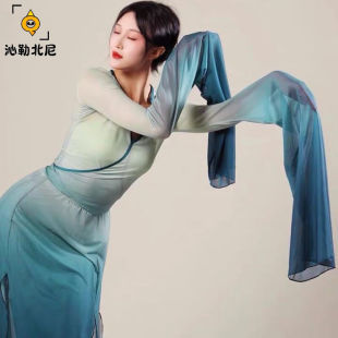 沁勒北尼只此青绿古典舞身韵纱衣女渐变变色水袖 舞蹈服仙气飘逸中