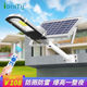IONITY太阳能灯照明灯庭院灯路灯户外防水超亮工程大功率LED灯100