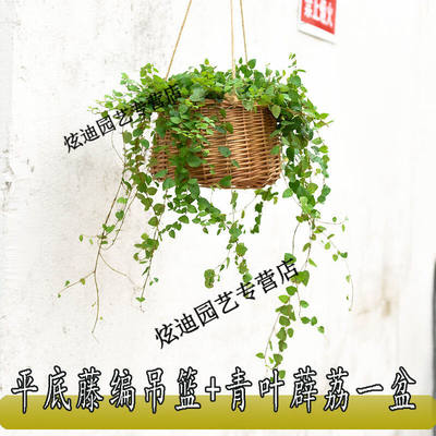 吊兰花盆垂吊藤编草编悬挂式挂盆吊挂吊兰盆垂吊盆吊篮花盆CP31藤