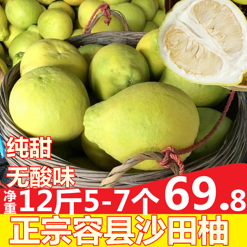 正宗广西容县沙田柚新鲜孕妇水果纯甜柚子10斤带箱非梅州红心蜜柚