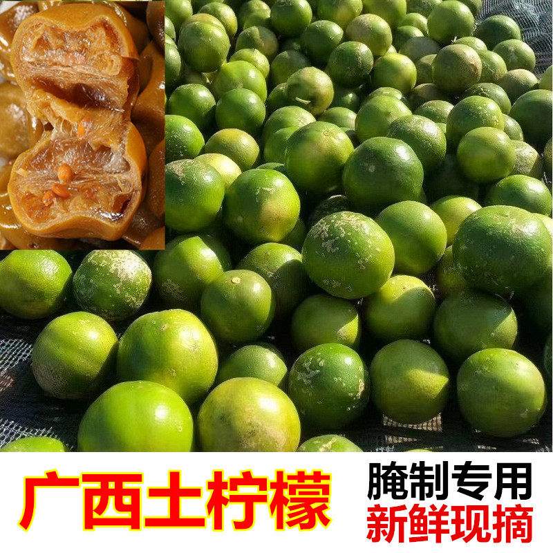 2026年新鲜野生土柠檬广西青柠檬鲜果9斤包邮现摘薄皮多汁牛脚子
