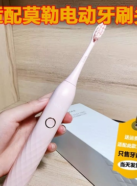 适配MOLE莫勒电动牙刷头成人情侣通用替换头品质杜邦刷毛