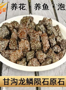 可养花养鱼缸景观泡浴足疗