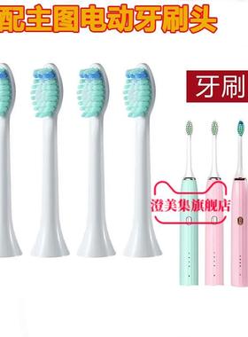 适配OSGA伊茉immer赫文怡齿堂懒贝贝lanbeibeiT5电动牙刷头替换头