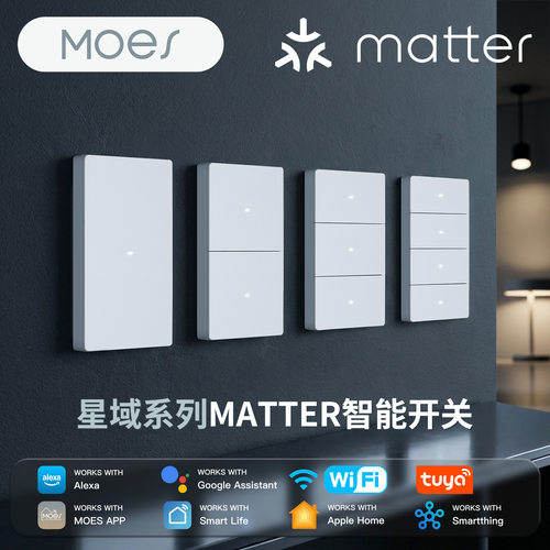 Matter零火开关涂鸦WiFi触控大功率开关Alexa Google  Homekit