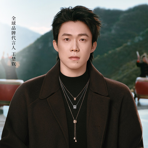 新品Qeelin麒麟镶钻项链