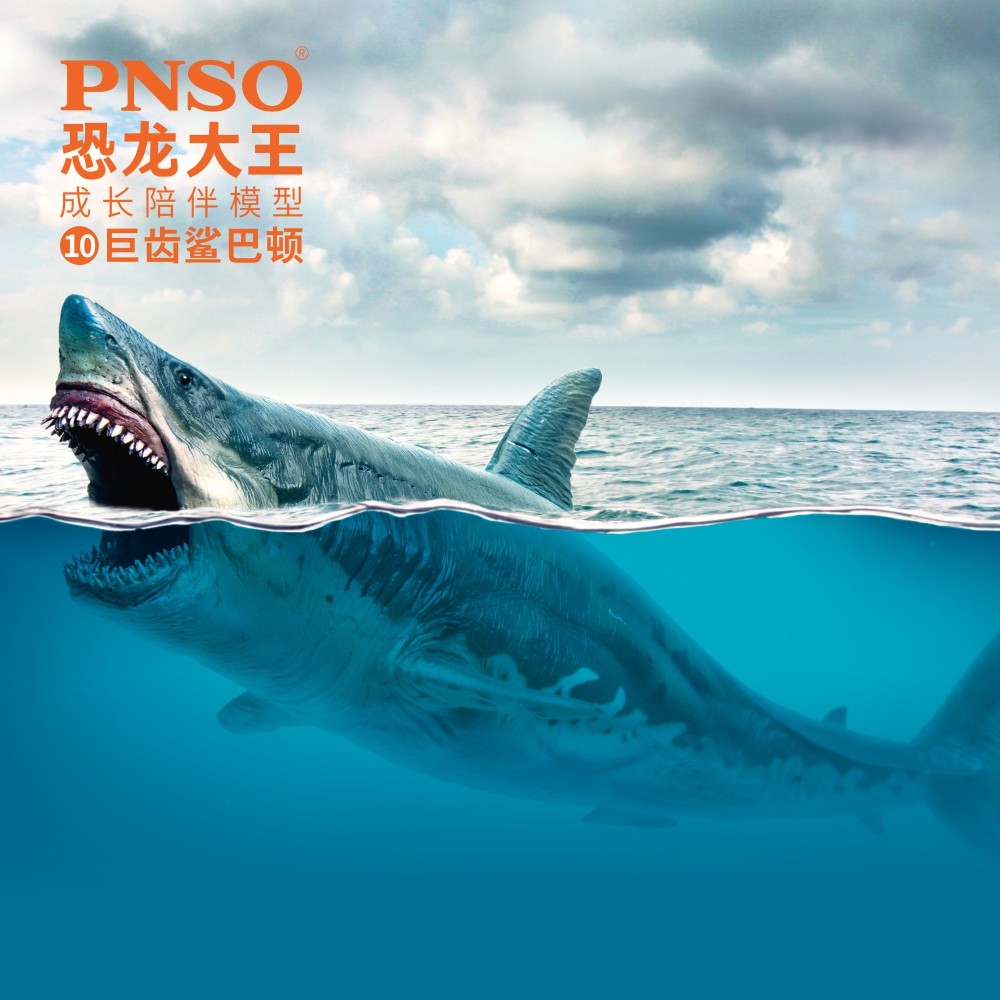 pnso巨齿鲨巴顿恐龙10陪伴模型图片