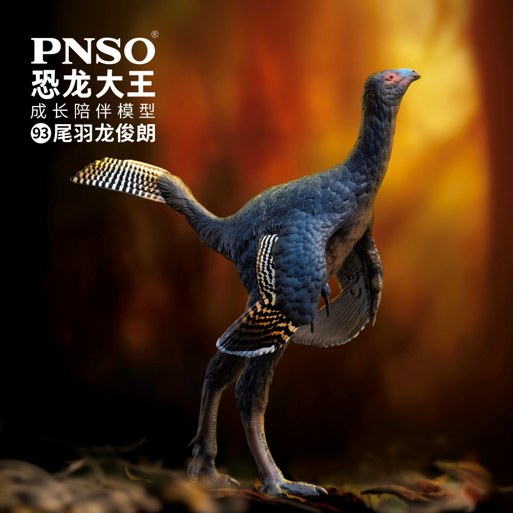 PNSO尾羽龙俊朗恐龙大王成长陪伴模型93