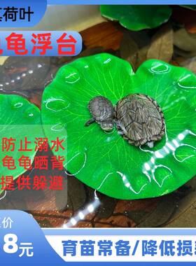 荷叶乌龟晒台浮台用品