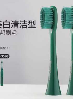 适配美国西屋WT-301G/301F/301K/301GF替换头成人杜邦刷毛5支装
