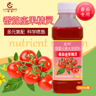 洛圣番茄授粉座果精灵西红柿点花提高坐果科学喷施花柄营养水溶肥